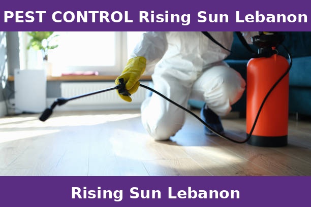 PEST CONTROL Rising Sun Lebanon